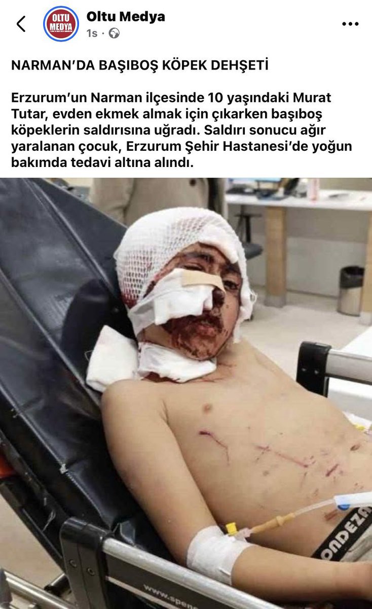 Kyra 🇹🇷 tweet media