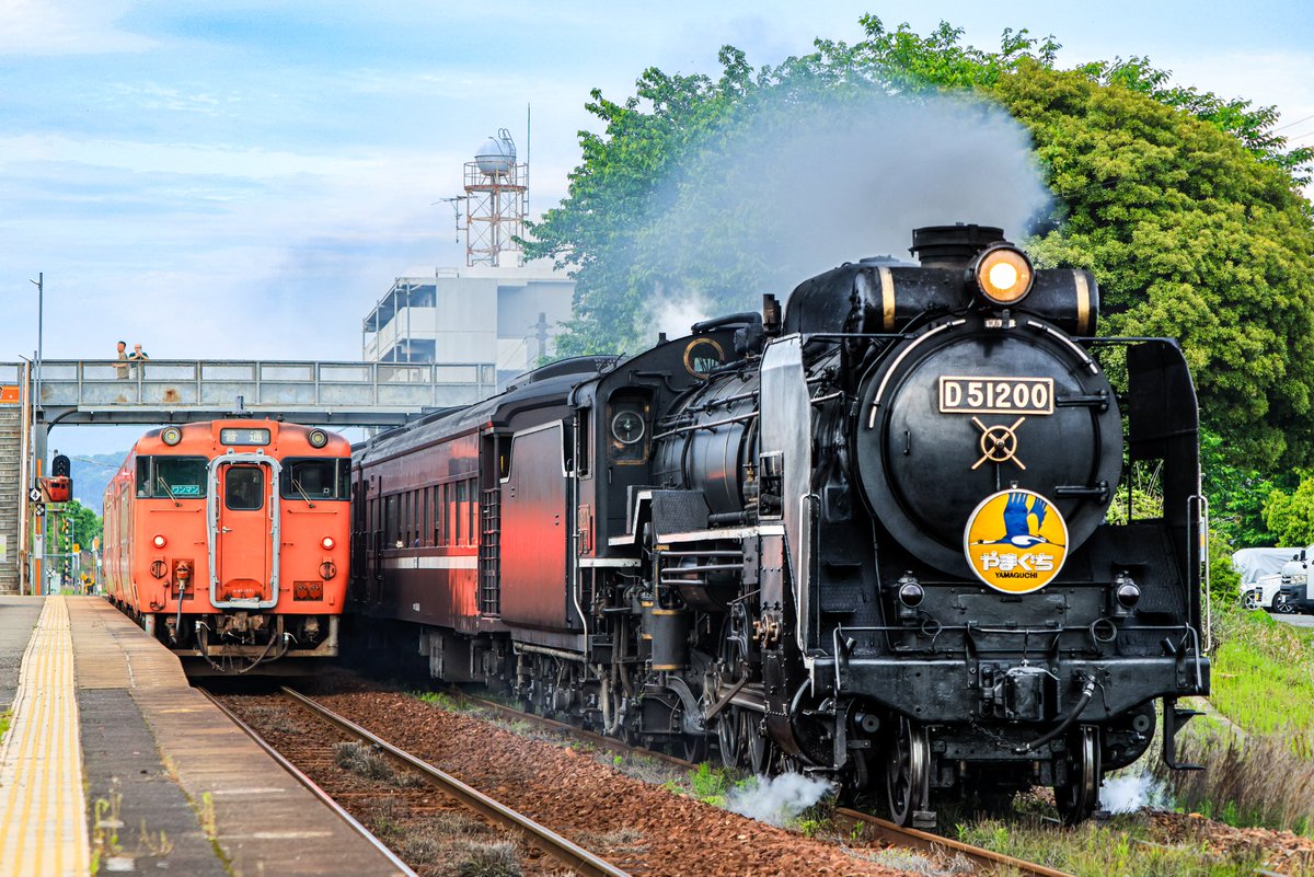 2026.05.02 D51 200+35系客車 SLやまぐち号 新山口行き 大歳駅にて