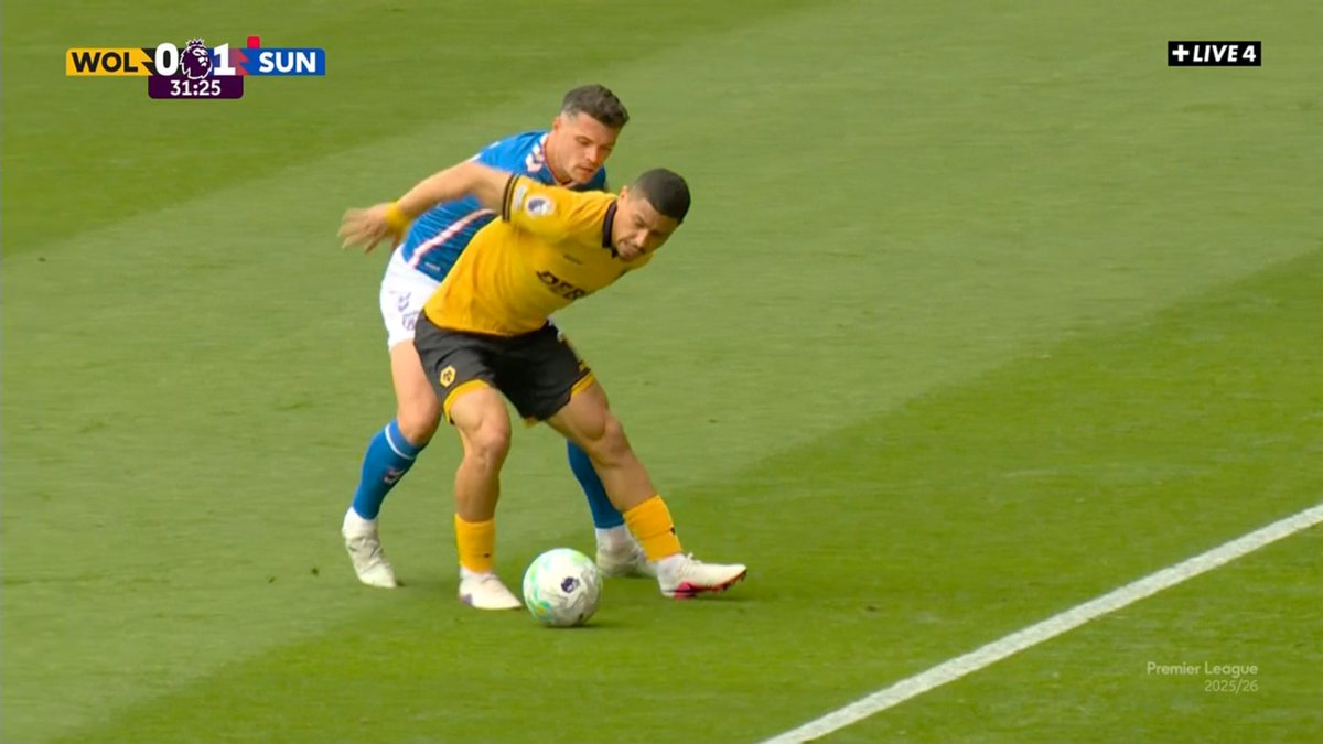 Wolves Actu France 🐺🇫🇷 tweet media