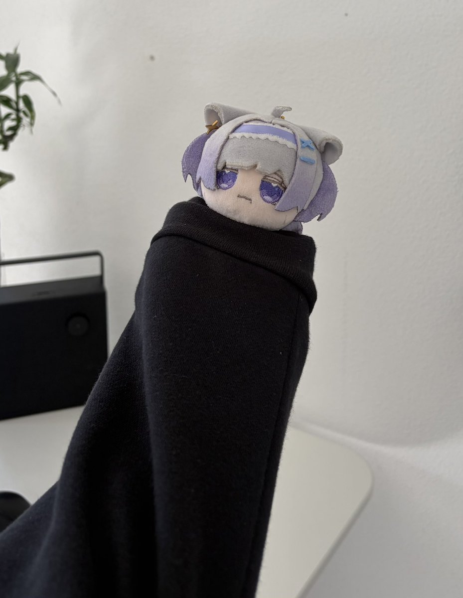 XEEZUNKNOWN's tweet photo. @ruuna_070 should tell her merch to behave better
Just caught this small fuck trying to get out of it’s packaging https://t.co/kZuLbGEDld