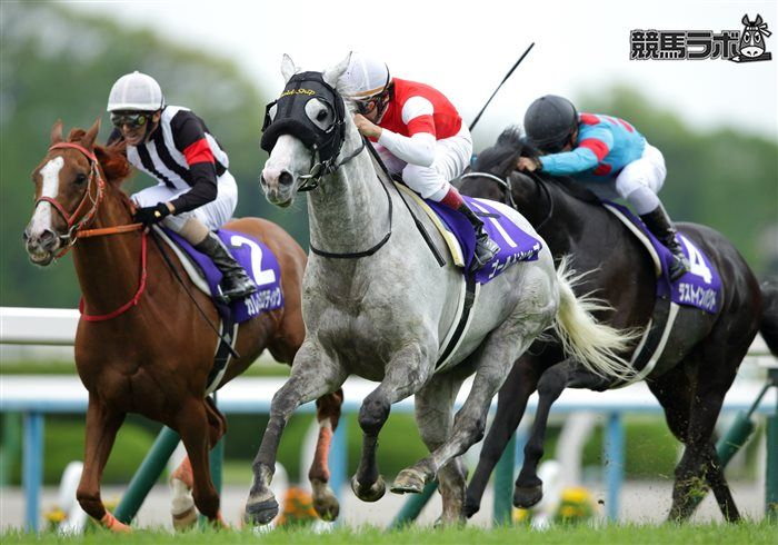 競馬ラボ tweet media