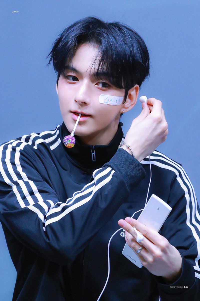 포코 tweet media