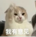 菠萝头🍍 tweet media