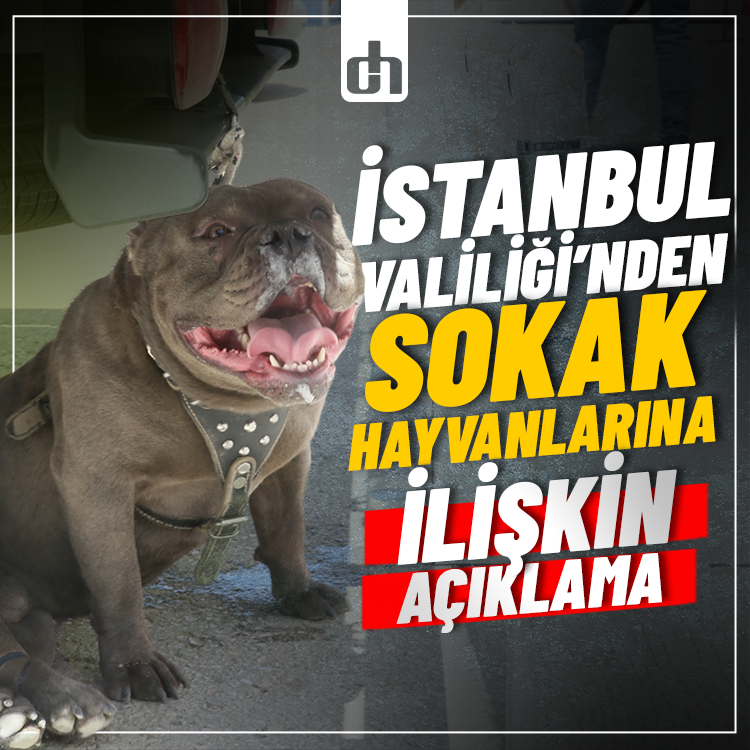 Dogruhaber's tweet photo. İstanbul Valiliğinden sokak hayvanlarına ilişkin açıklama https://t.co/uO2yEOJIsk https://t.co/WpGPAZvfY7
