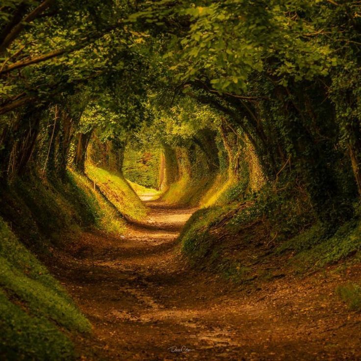 purelivn's tweet photo. portals in nature https://t.co/1YHKL8SSWt