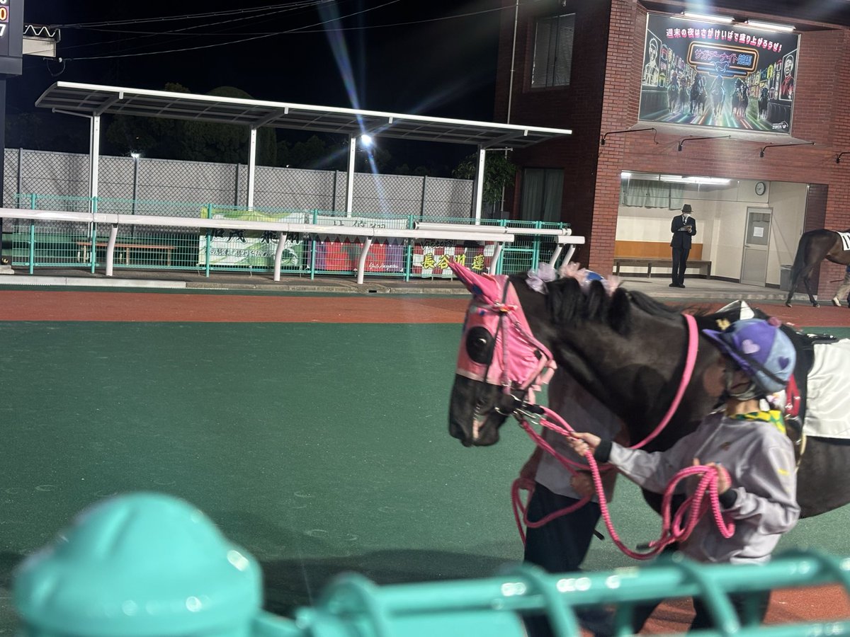 gaogao_rnp's tweet photo. リトルアイドルちゃんもマナマカナちゃんもとっても可愛かったです🐎🐎 https://t.co/hqYUoseahb