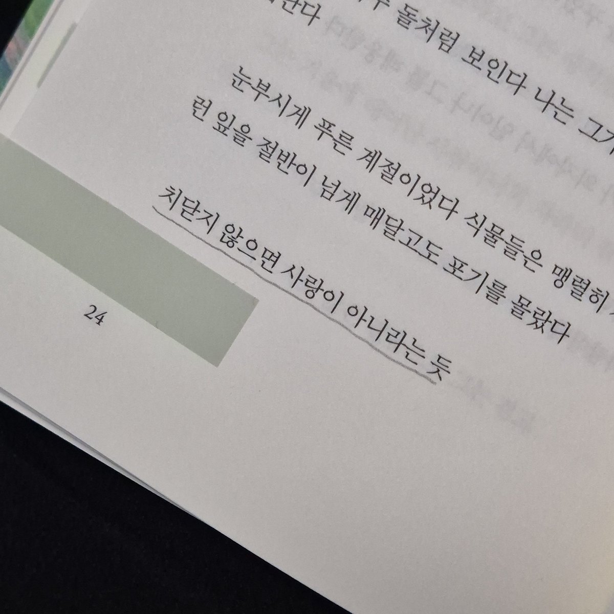 서현 tweet media