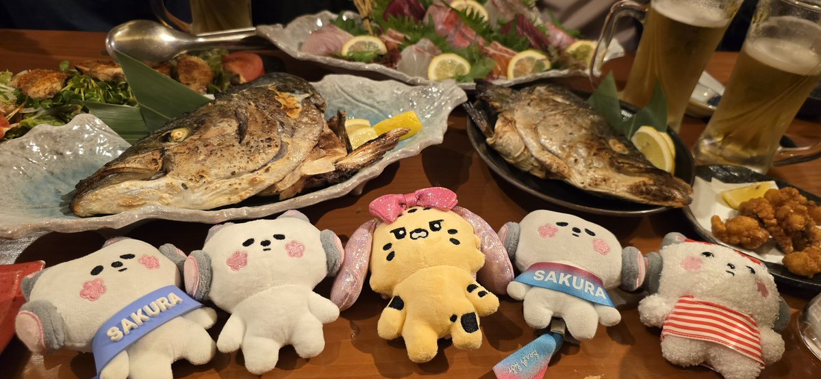 くえこ🧚‍♀️（쿠에코🧚‍♀️） tweet media