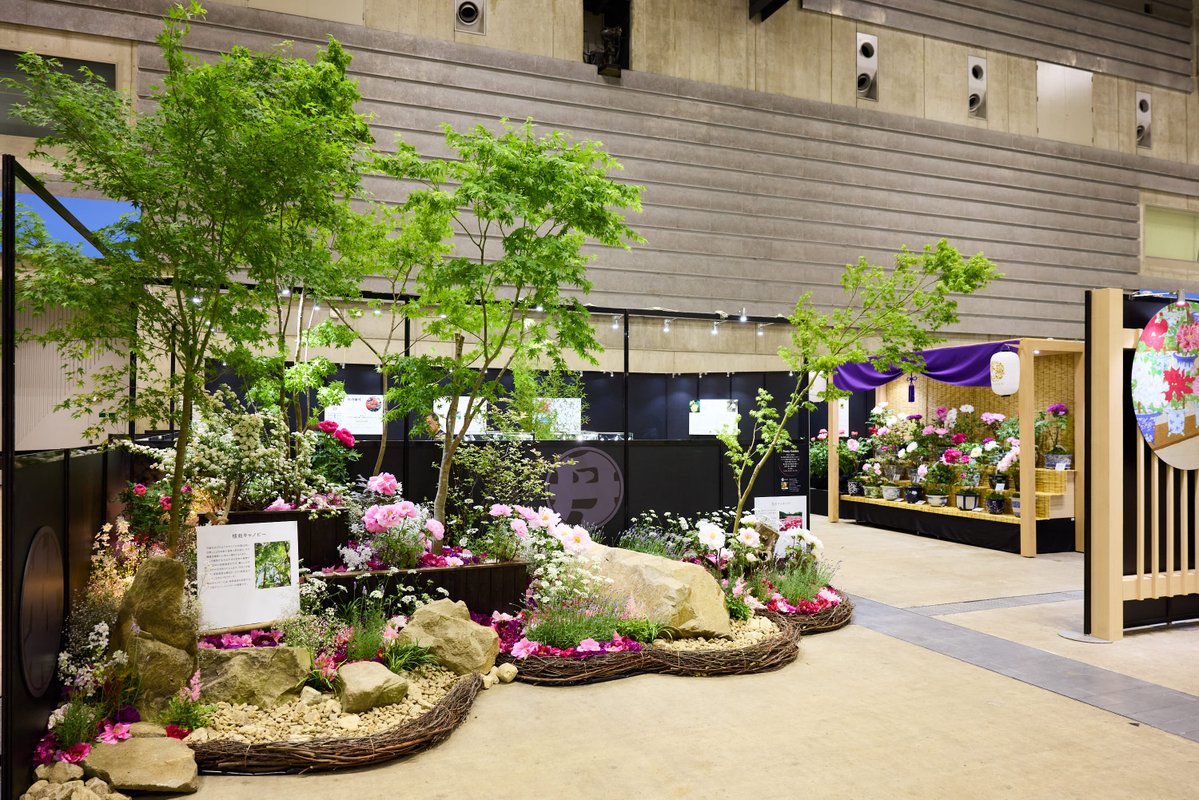 gardennecklace's tweet photo. パシフィコ横浜で開催中💐日本最大級の園芸フェス「横浜フラワー＆ガーデンフェスティバル」🌻
毎年大人気のローラン・ボーニッシュさんの展示や、見事な牡丹が並ぶ「和の愉しみ」も必見‼️
当日券はこちら🎫→https://t.co/uTbE3Eij0Y

#横浜フラワーアンドガーデンフェスティバル
#横フラ https://t.co/jBomCx6hCO