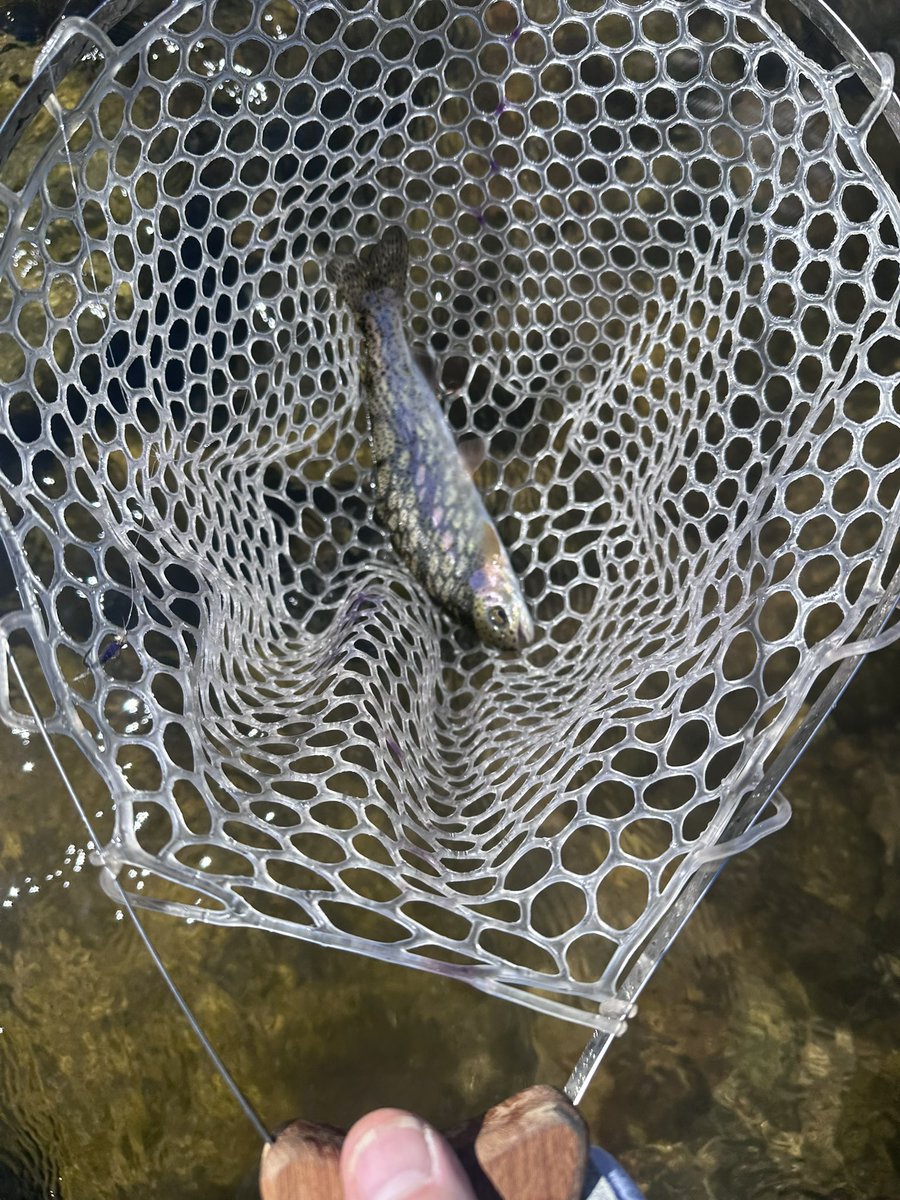 toddewiest's tweet photo. No miles for me today. Driving home and recovering from 12+ hours of #fishing the last 2 days. #kernriver @KernRiverFlyS #simms #trout #flyfishjng #redington https://t.co/WYsC0MZ8ZH