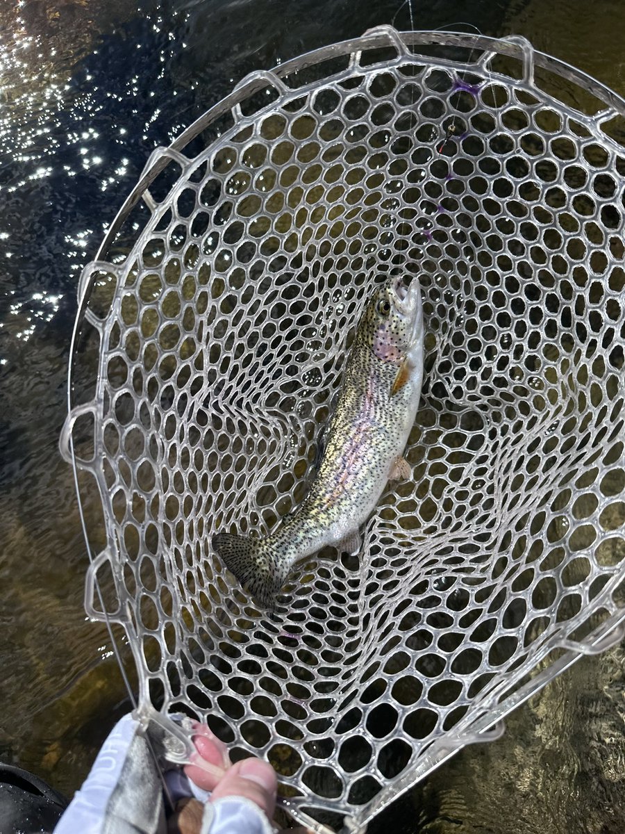 toddewiest's tweet photo. No miles for me today. Driving home and recovering from 12+ hours of #fishing the last 2 days. #kernriver @KernRiverFlyS #simms #trout #flyfishjng #redington https://t.co/WYsC0MZ8ZH