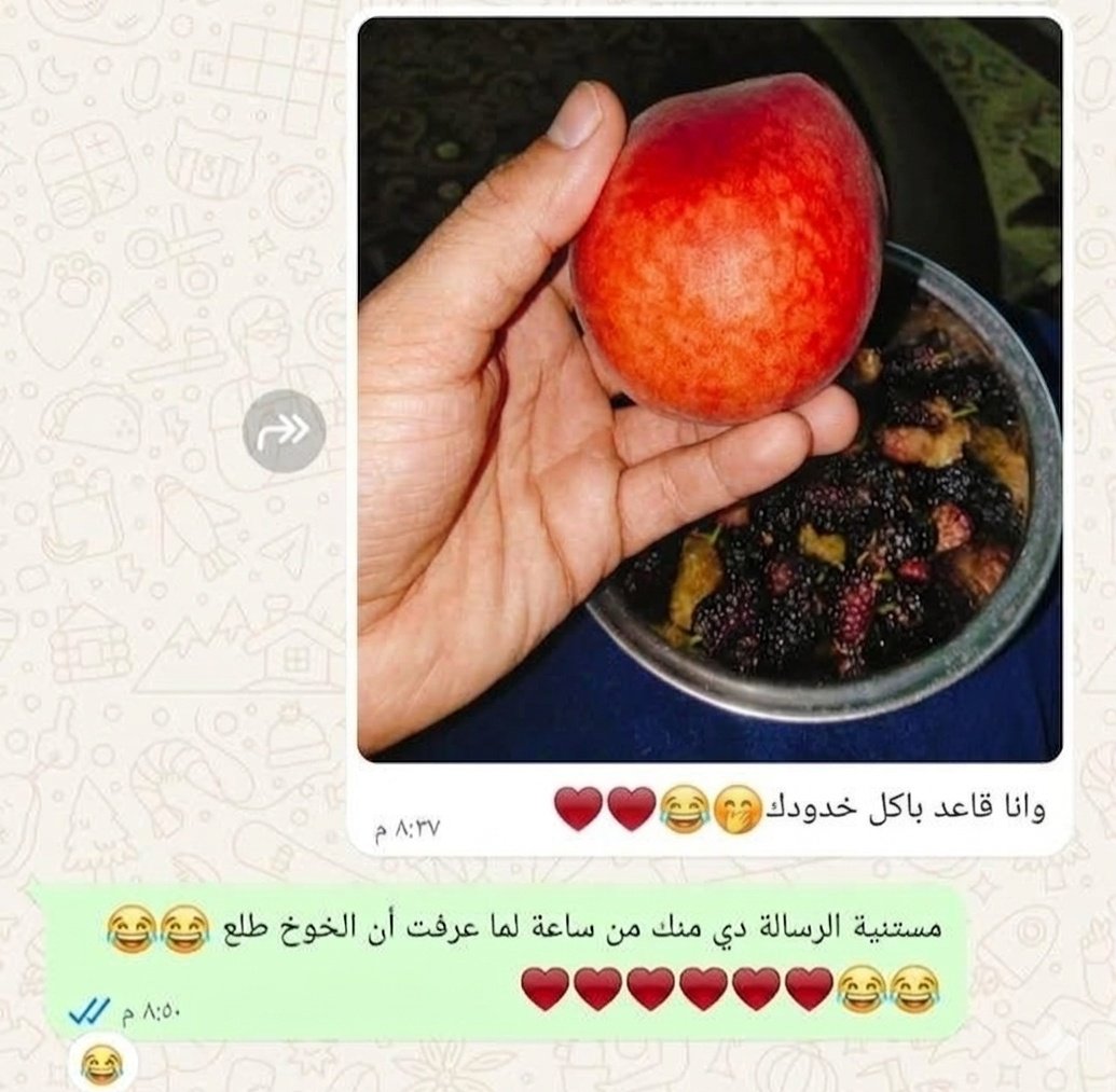 🥥💎sara🥥 tweet media