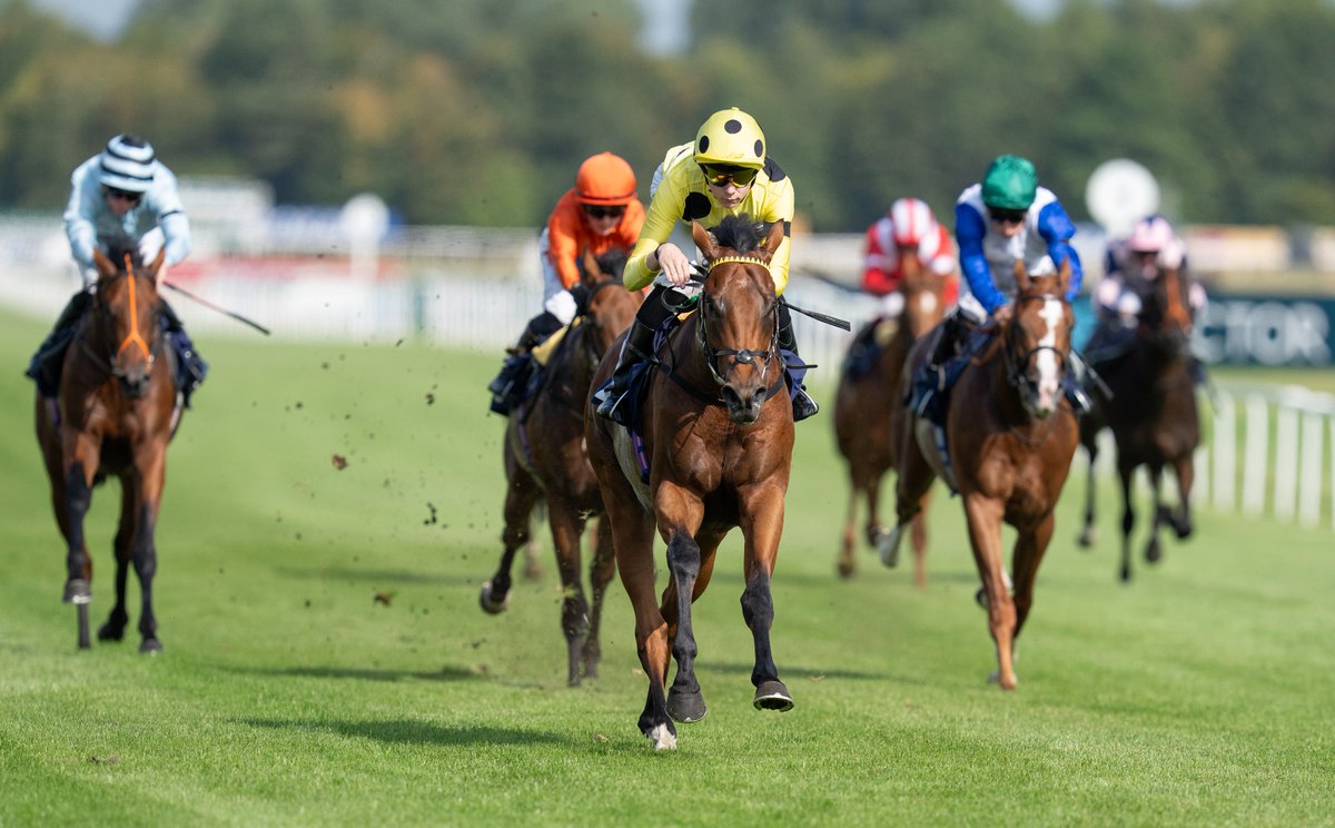 Racing Post tweet media