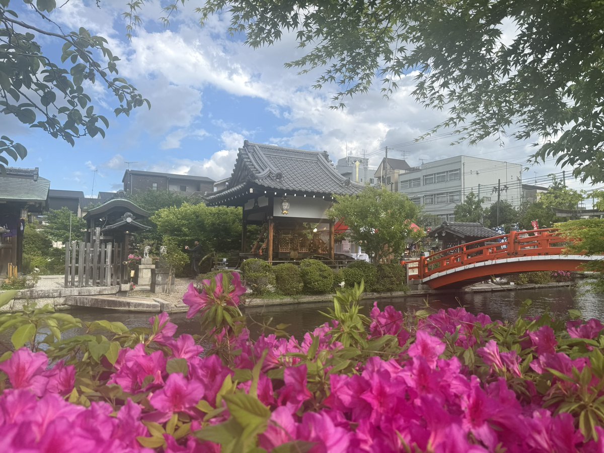 5/4神泉苑祭に向けて、いよいよ最後の練習。 いつもとフォーメーションを変え、一列で奏でる練習も😊
当日は清らかな祇園囃子をお届けいたします。
お待ちしております📷
2026/5/4(月祝)　神泉苑祭
 　10:30～善女龍王社前にて
 　11:30～本堂北側広場にて
※悪天の場合は本堂にて奉納いたします。