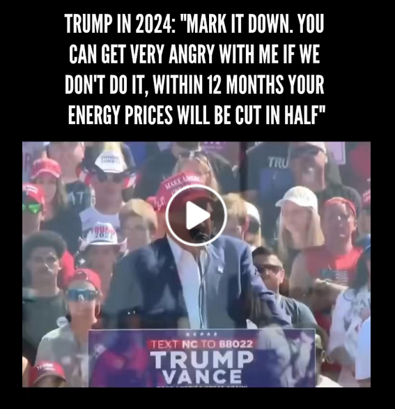 DitchTheFokkedUpTreasonQAnonCaucus 🌊 tweet media