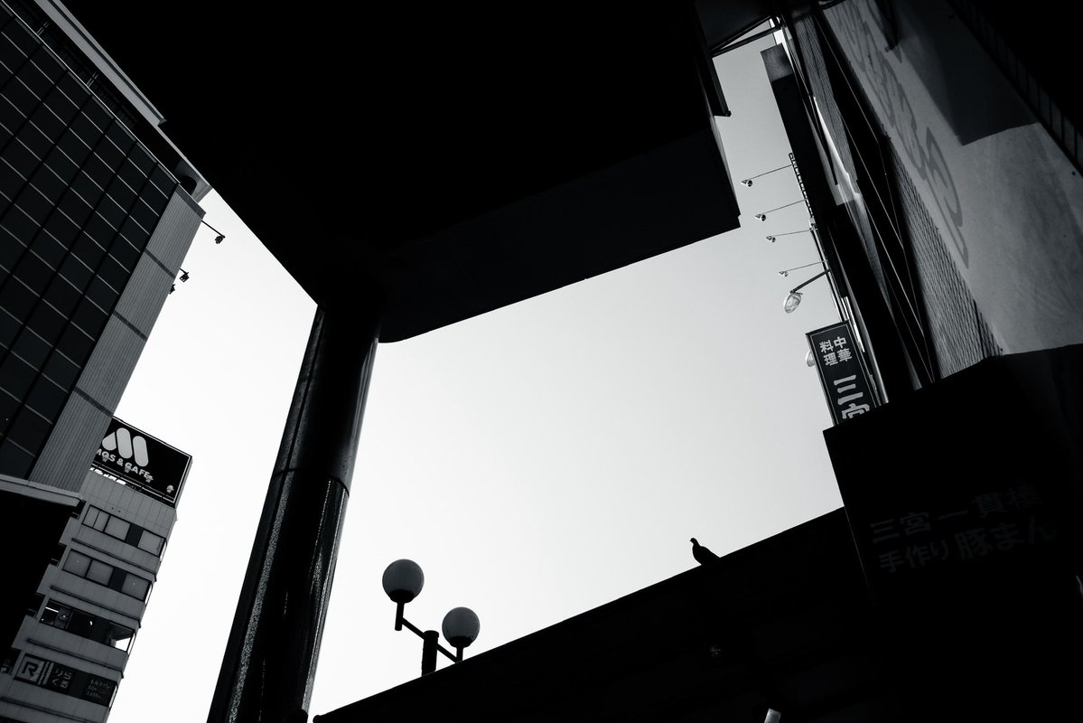 garan_dodo's tweet image. #photography #monochrome
