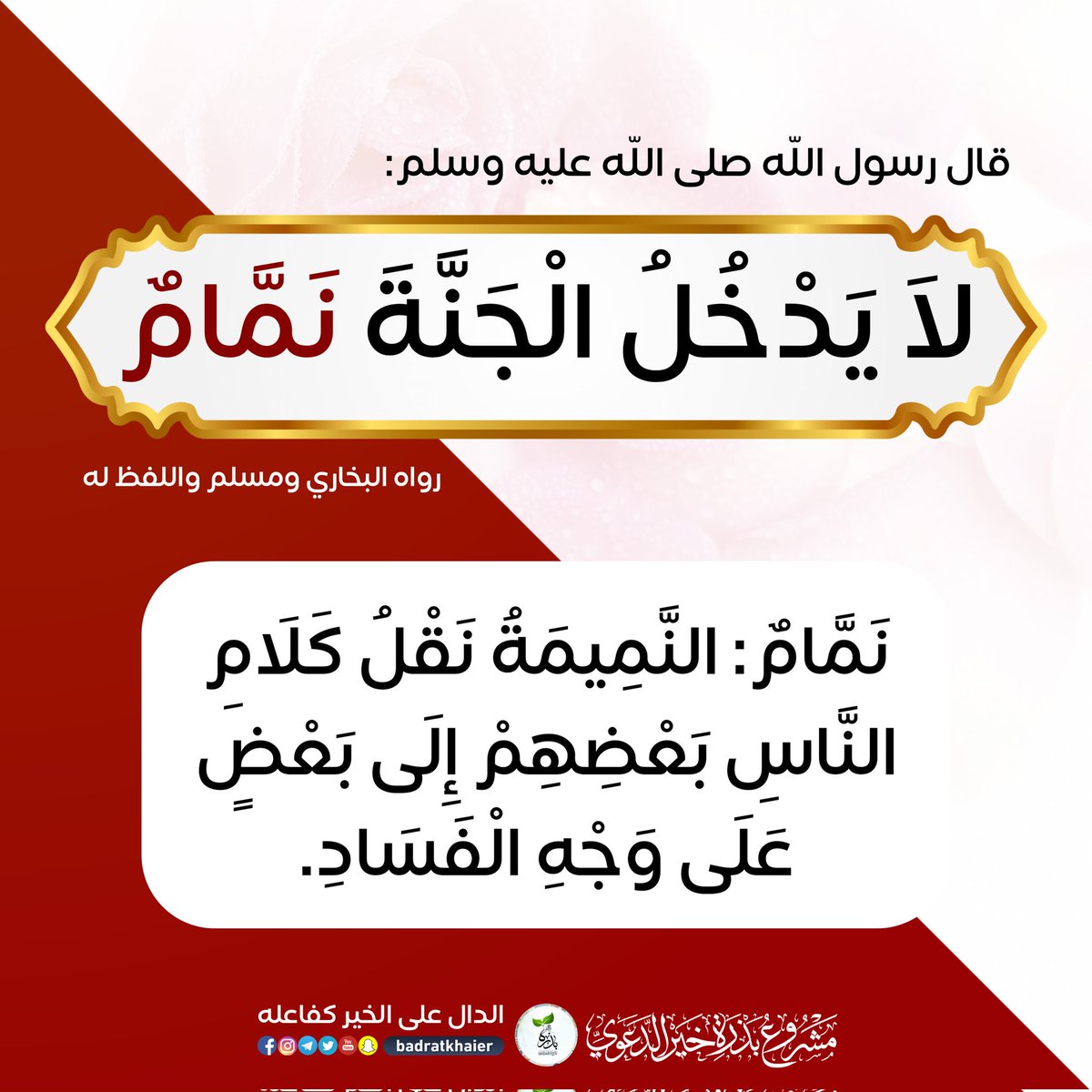 Ara CV tweet media