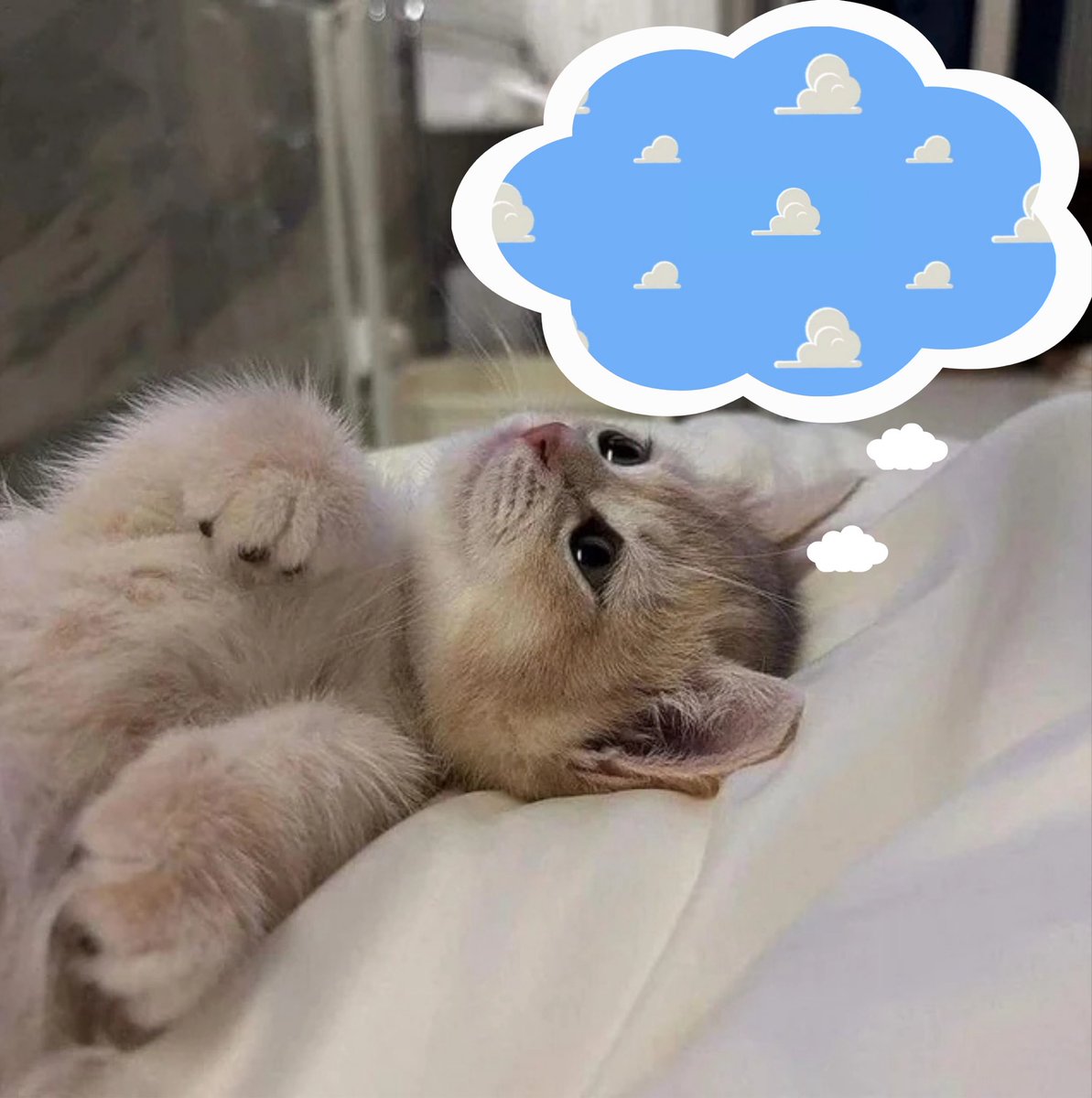 “wyd today?”

me: