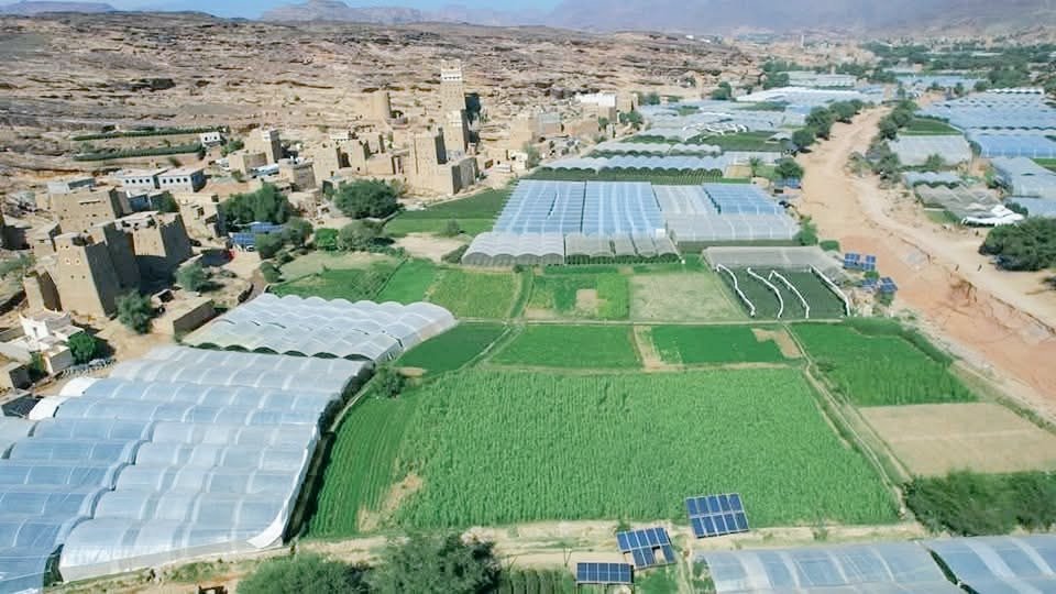 AnorElool's tweet image. هنا #اليمن أرض الخير والعطاء.. 
حيث مجد الماضي العريق في عناق
ابدي مع الأرض التي تزهو بروعة وجمال ماتصنعة ايدي ابنائها حاضراً و مستقبل😍
. 
🌺🌺 طيب الله أوقاتكم

وادي علاف _ سحار _ #صعدة 
Wadi Al-A'laf – Sahar – #Sa'dah