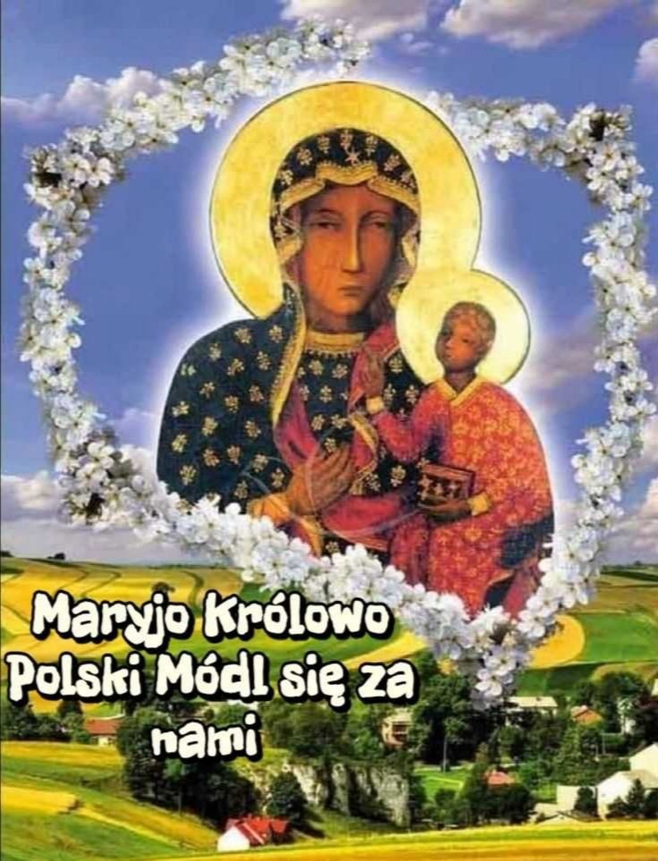 tygrys 🐯🇵🇱🇵🇱🇵🇱 tweet media
