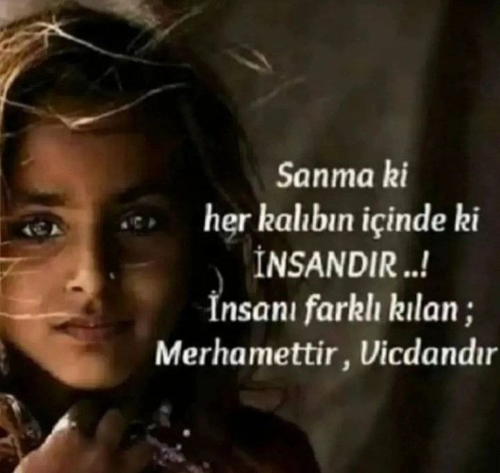 YAKAMOZ (672) tweet media