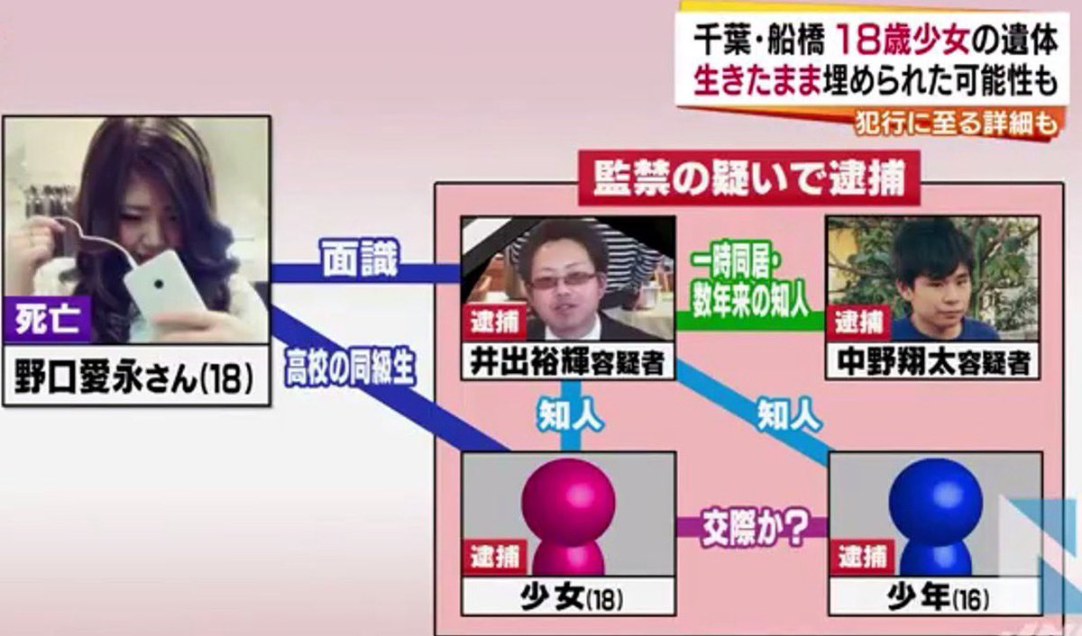 ヒストロジー｜歴史解剖学 tweet media