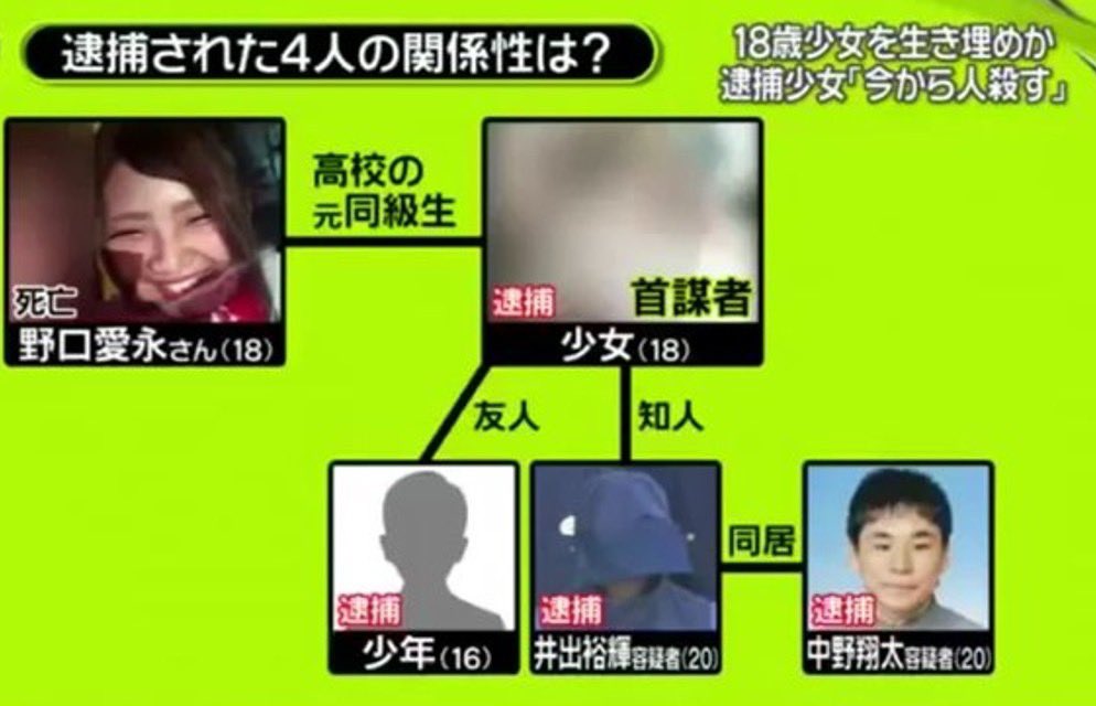 ヒストロジー｜歴史解剖学 tweet media