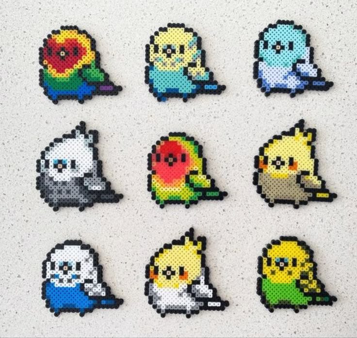 ソフィア tweet media