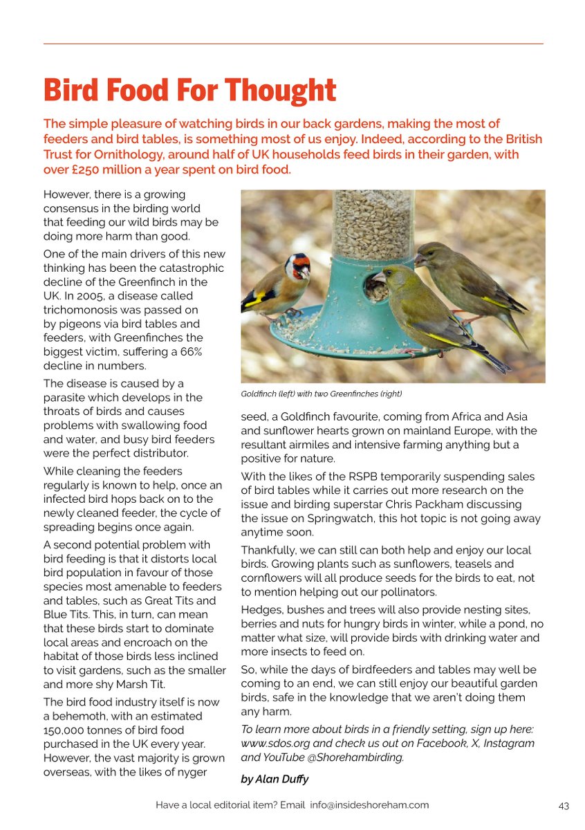 Shoreham Birding tweet media