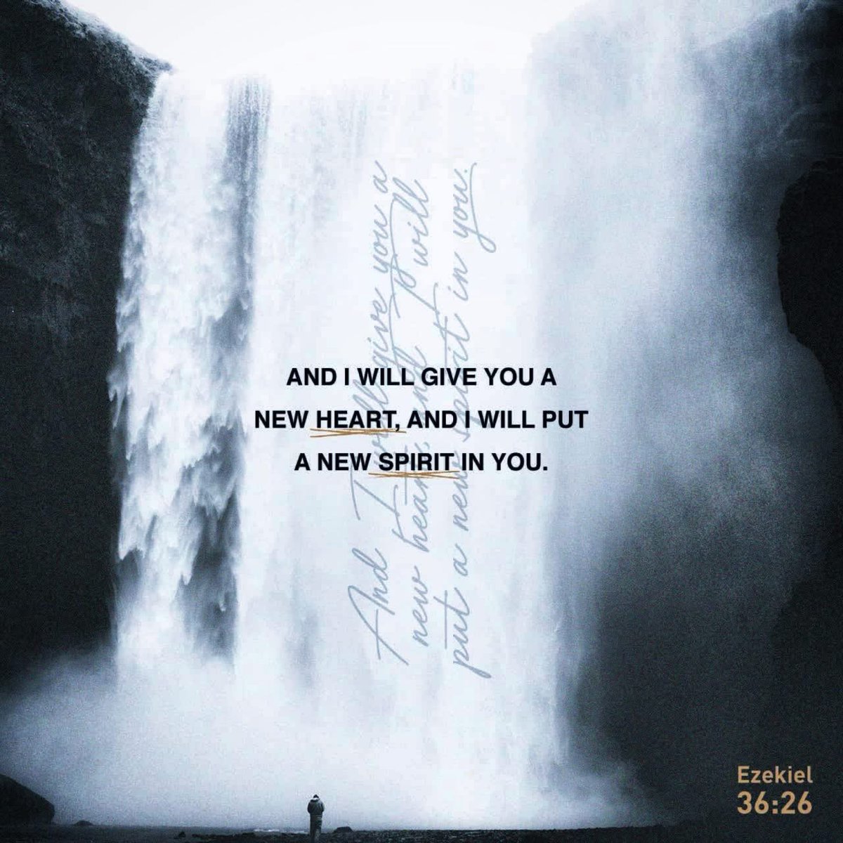 Renderman072's tweet image. Bible Verse Of The Day:
“And I will give you a new heart, and I will put a new spirit in you.” - Ezekiel 36:26

@youversion

#verseoftheday #bibleverses #reflections