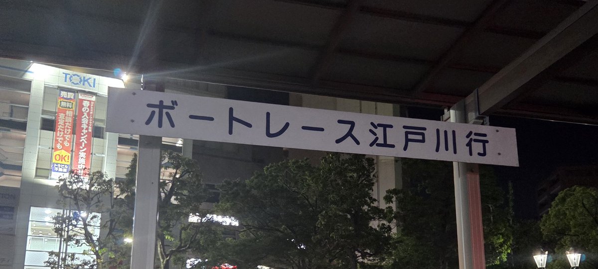 ヤナ 「これからも追い風と共に🐝🦩」 tweet media