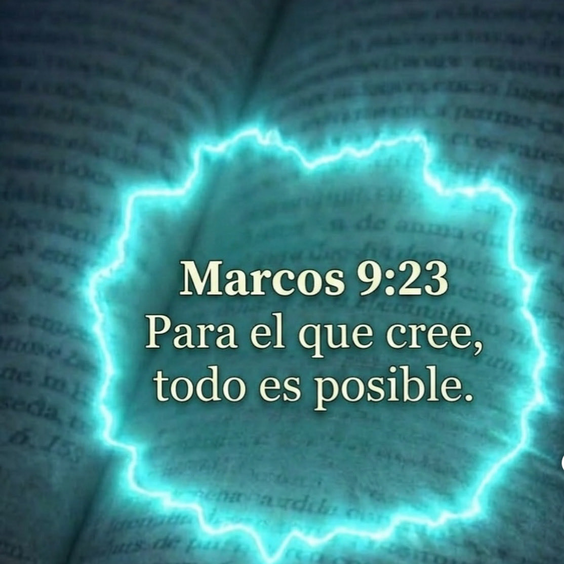 Raymond pozo tweet media