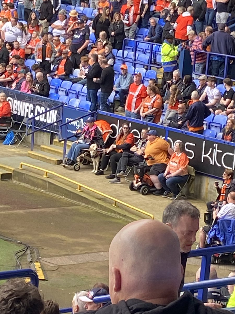 Trotter Chatter: The Bolton Wanderers Podcast tweet media