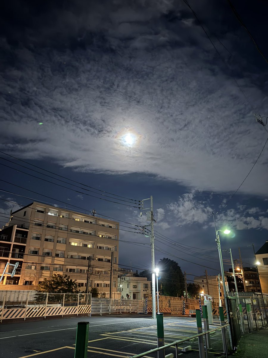 エディー tweet media
