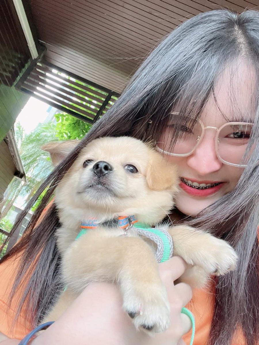 ˚₊รักน้องแบม˚₊แบมมม₊ tweet media