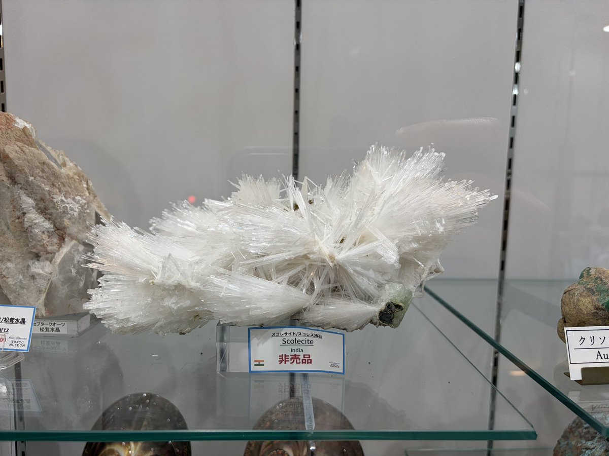 孤独の要塞