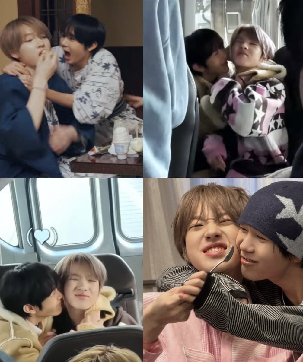 쪼마니 tweet media