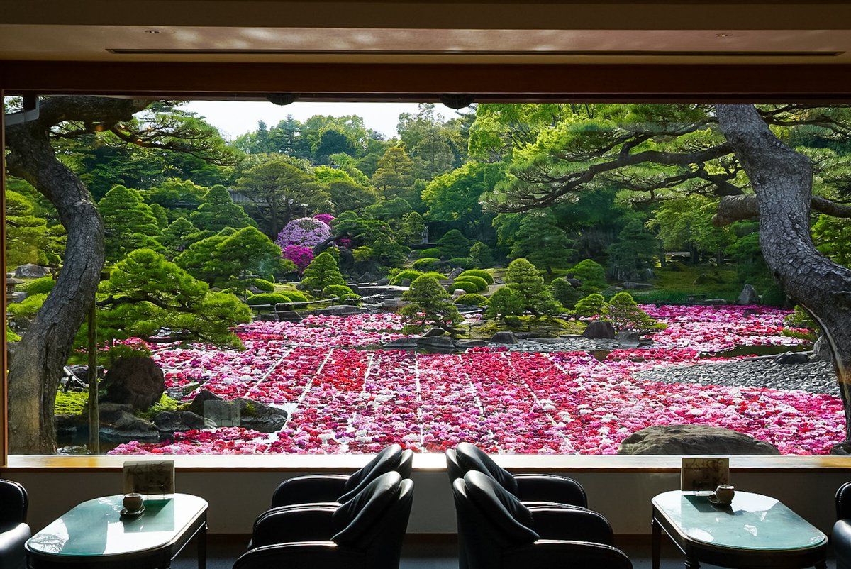 aokinopho's tweet photo. 島根県松江市 由志園
池泉牡丹 薔薇苑路 https://t.co/7R0PFWYGd3