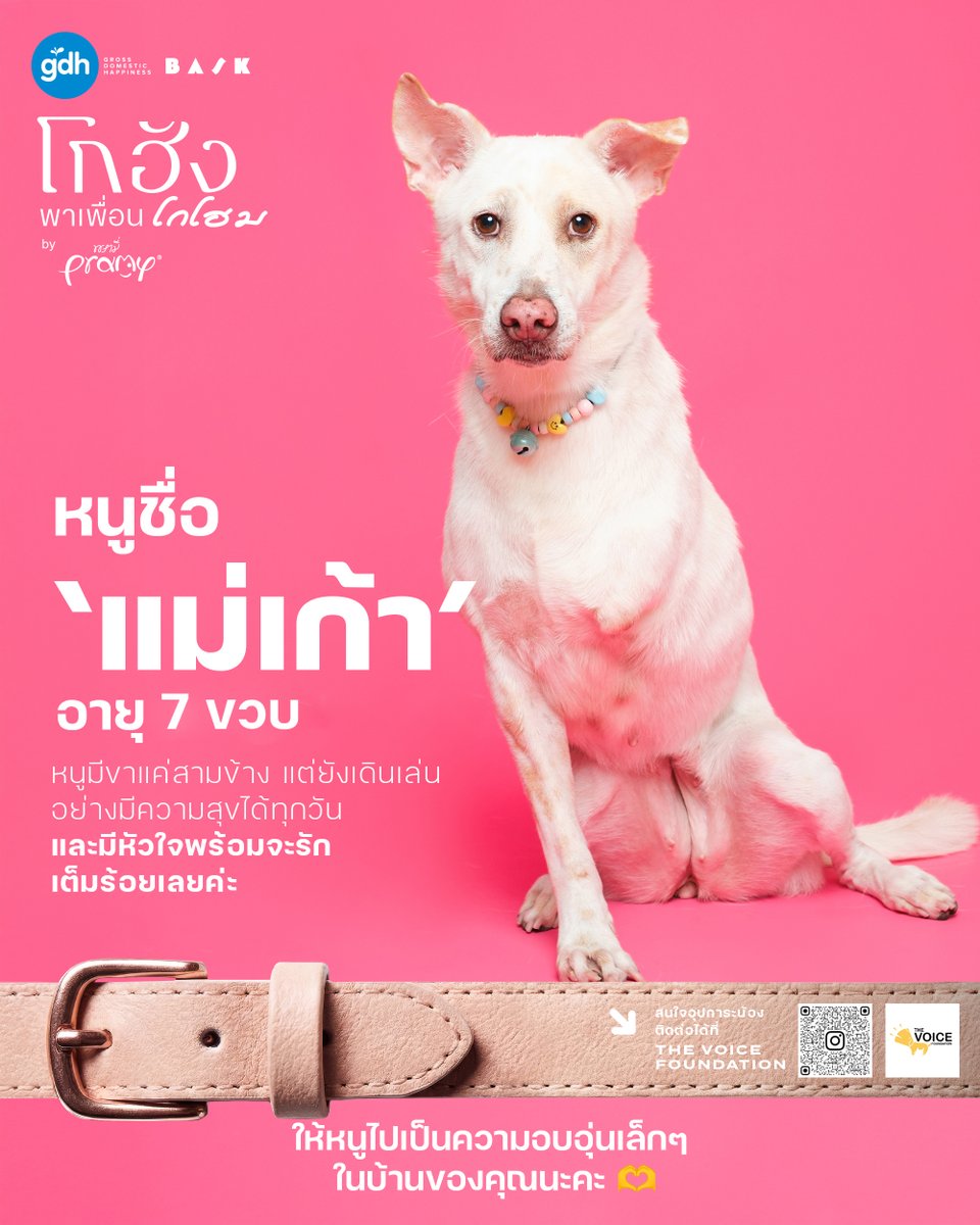 GDH tweet media