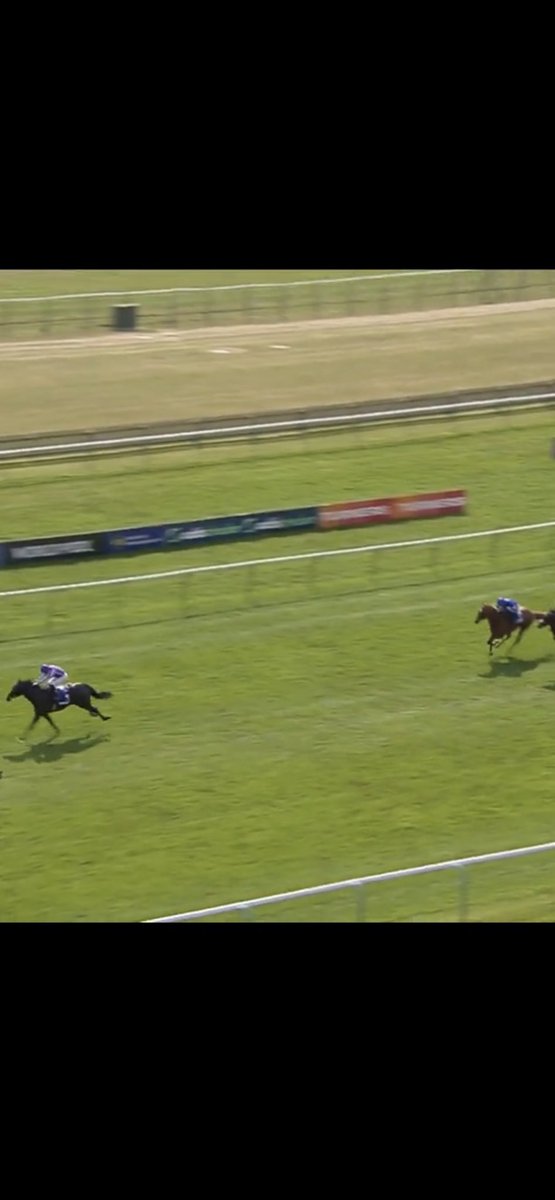 Bookies Dream tweet media