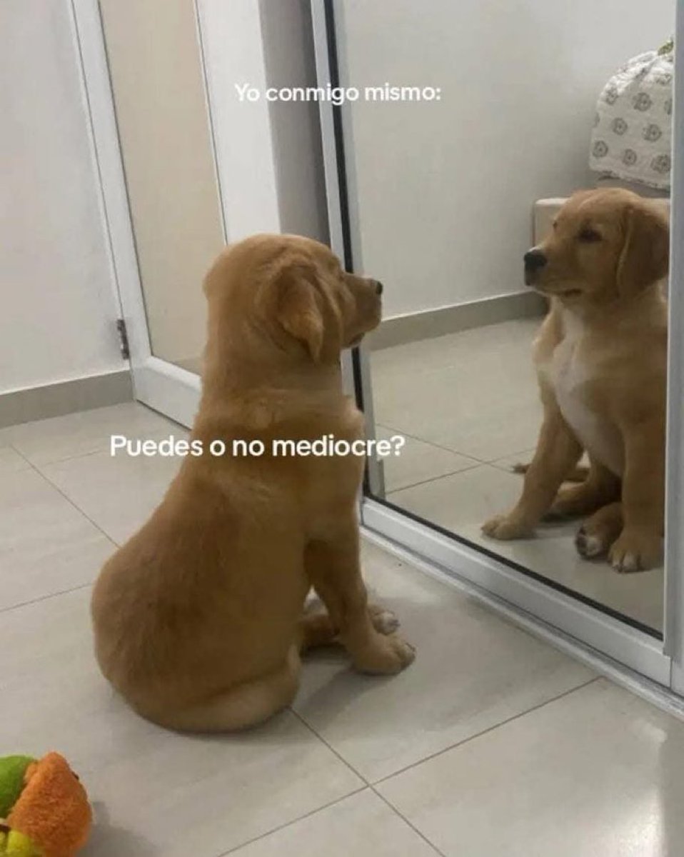 Puedes o no mediocre ?