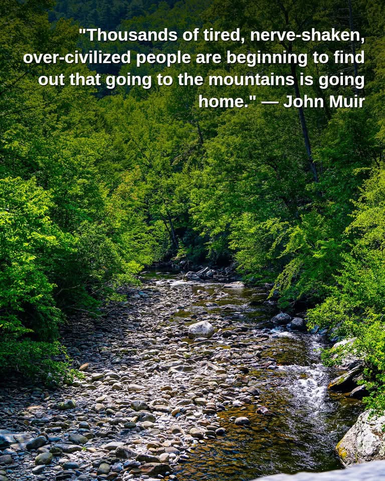 Rachaelga1's tweet image. Crye-Leike 423-756-0771. Feeling this.

#home #chattanooga #nature #forests #WeekendEnergy #SaturdayRush