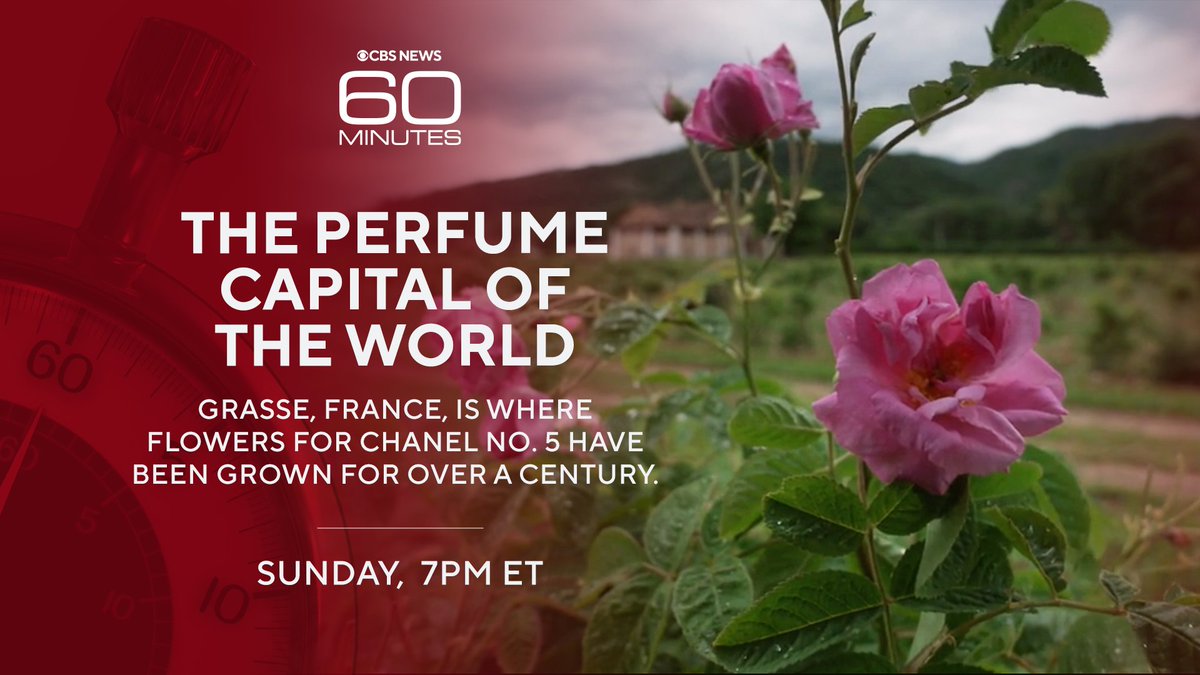 60Minutes's tweet image. It’s hard to capture on TV, but this town in southern France is filled with the scent of flowers, all grown in surrounding fields to be ingredients in some of the finest perfumes in the world. This Sunday, Cecilia Vega meets a master perfumer, known simply as a “nose.”