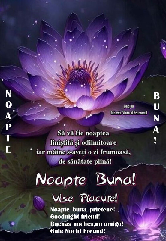 bobu_vasile's tweet photo. https://t.co/B26jmD6aXH