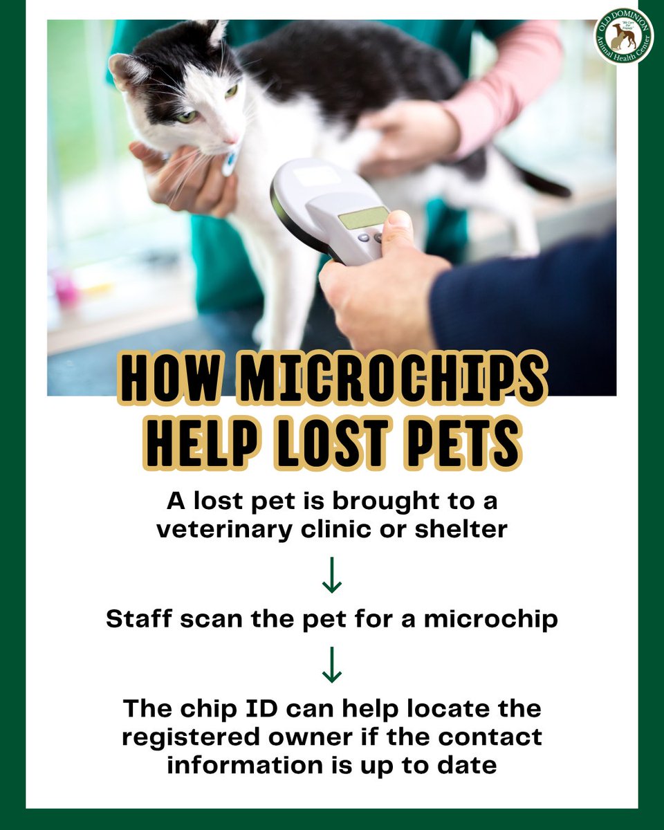 ODAHCenter's tweet image. Pet safety starts with reliable identification. Microchipping helps ensure pets have permanent identification that stays with them throughout their lives. 🐾

Get your pet microchipped: odahcenter.com/contact/

#ChipYourPetsMonth #PetSafety #VeterinaryCare