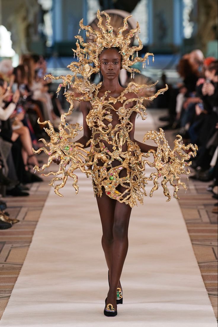 Dressed Daily tweet media