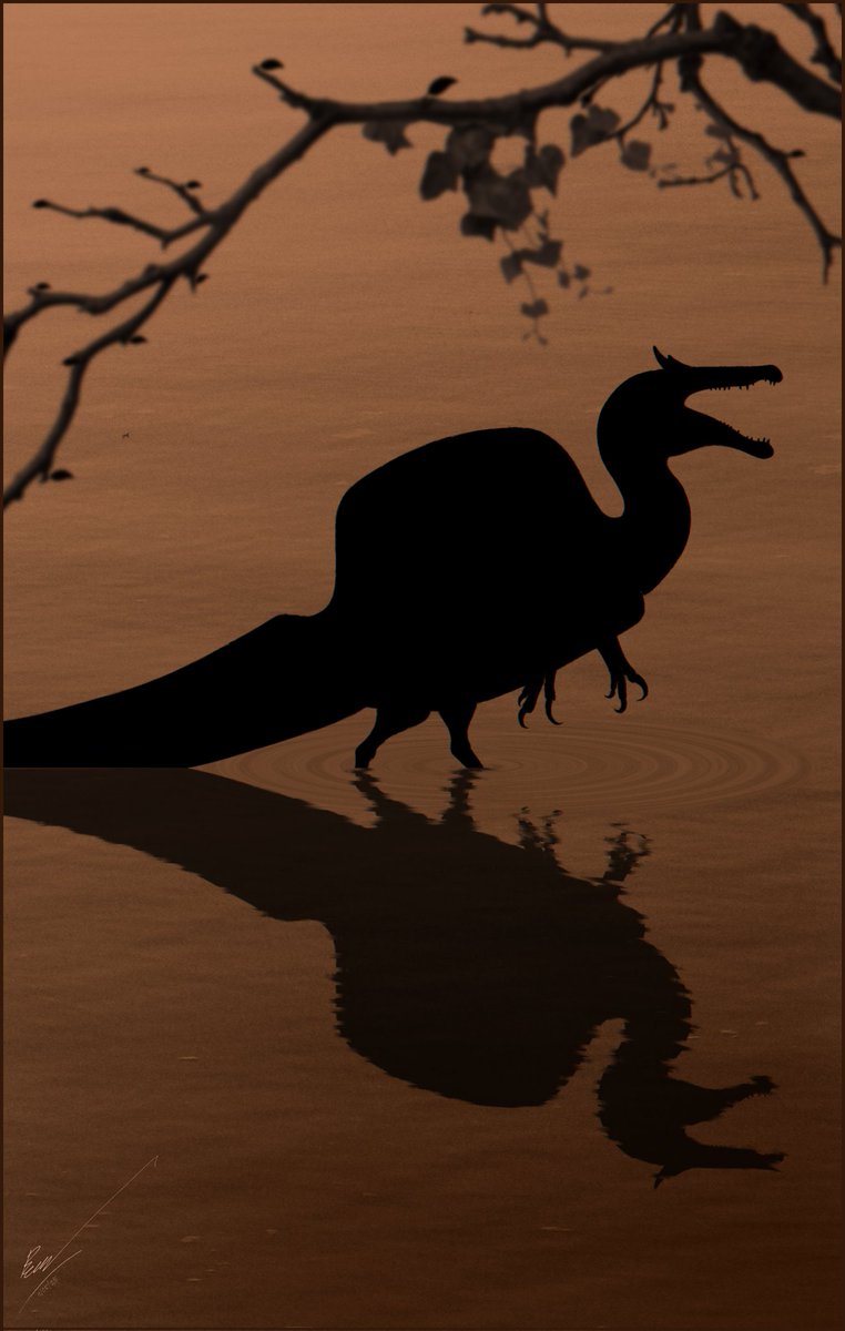 Wachirawit96111's tweet image. Orange mood 🧡

#paleoart #spinosaurus #dinosaur
