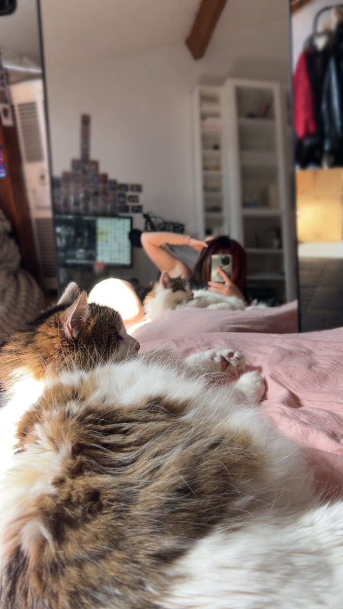 Lily tweet media