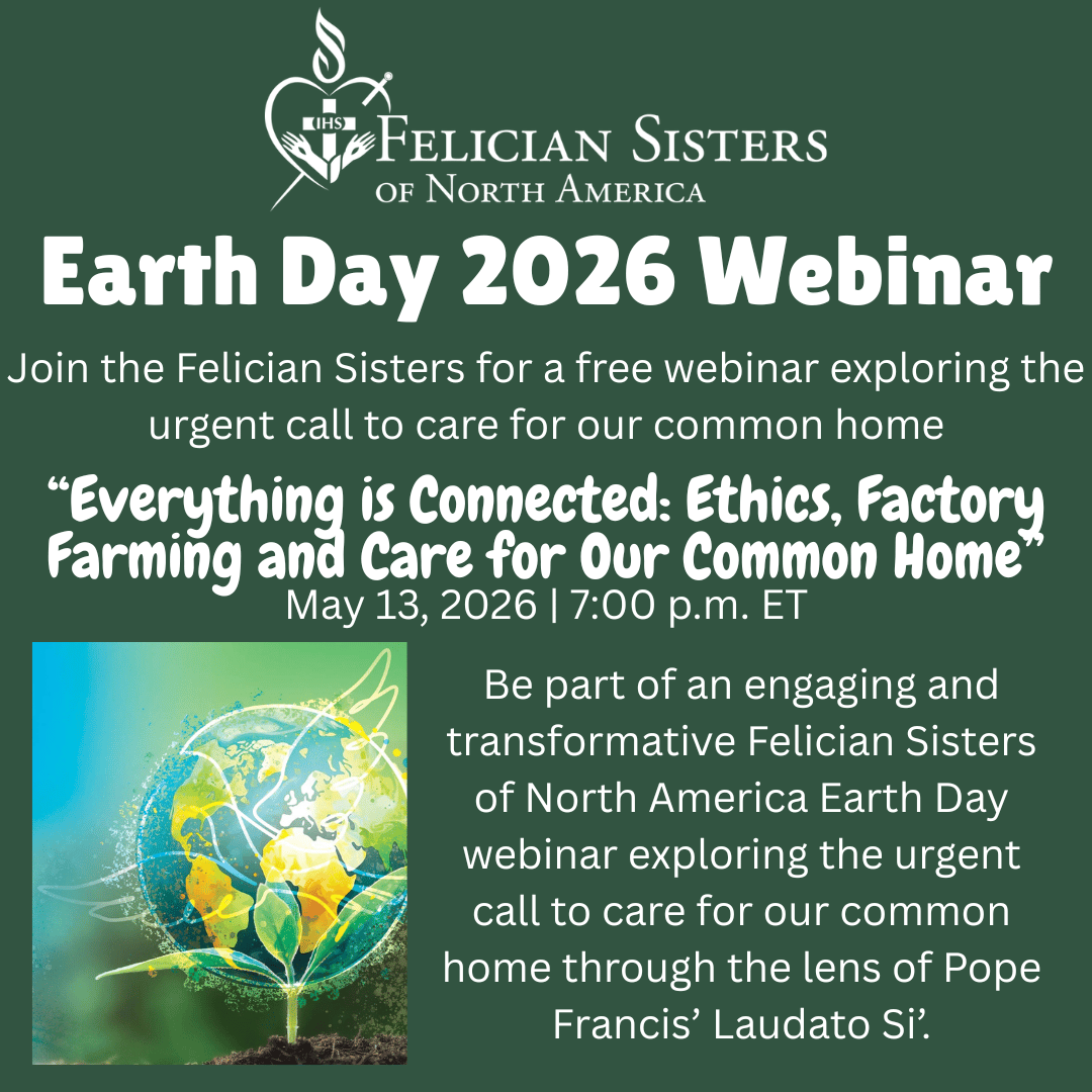 Join this special webinar featuring three keynote speakers, including Orbis Books author James Robinson,whose upcoming book Beyond Factory Farming(June release)invites us to rethink our relationship with food,creation,and care for the earth.
Register here: felician.org/2026/04/06/ear…