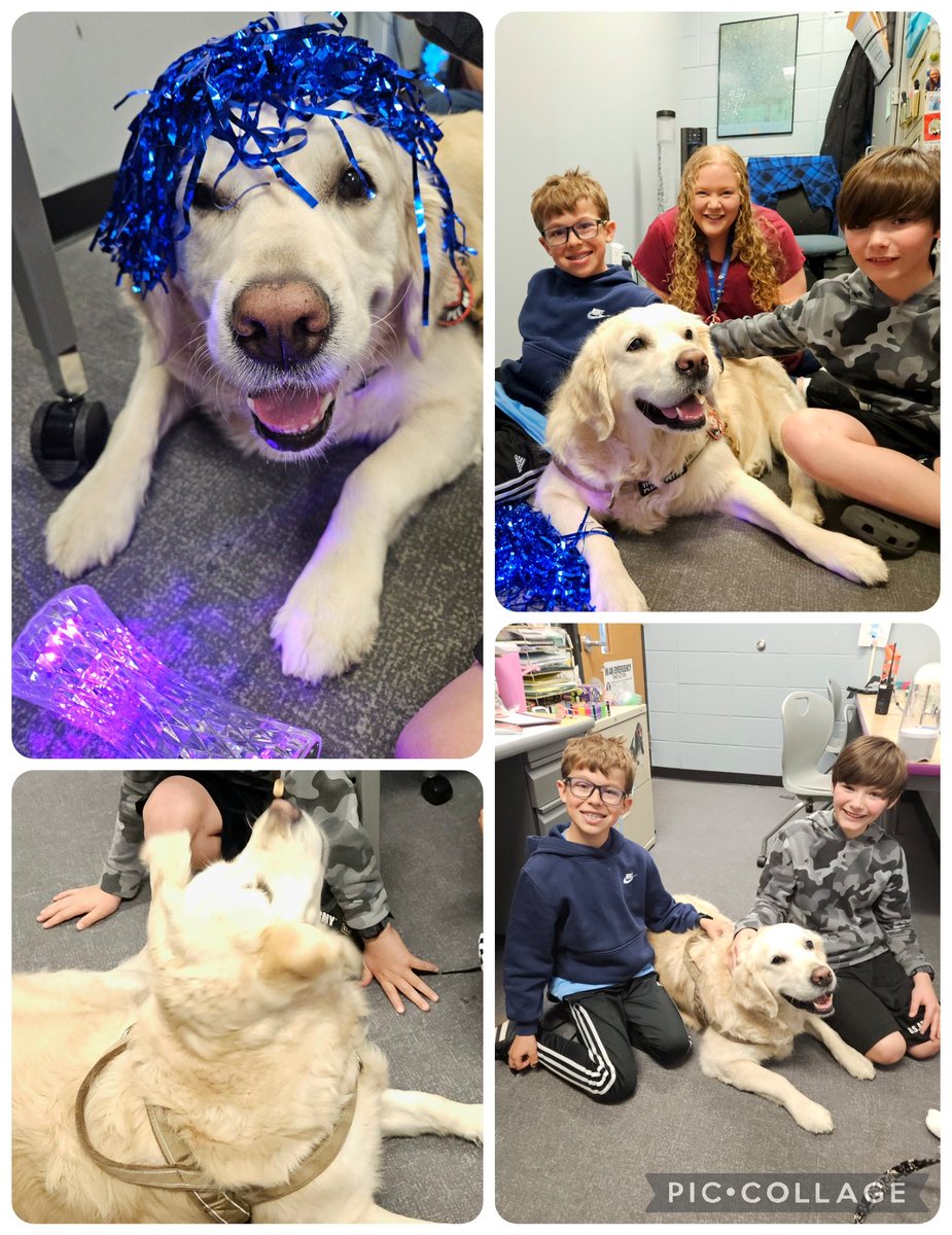 BSmithPsych's tweet photo. Piper days are the best days 💙 #bettertogetherd95 #empower95 #sabulldogs https://t.co/6Dp57aEhis